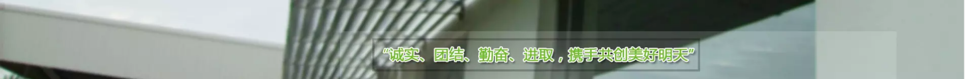 通栏广告2